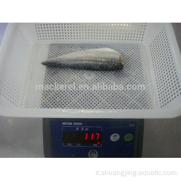 Pesce mackerel congelato filletto mackerel pacifico congelato